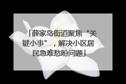 薛家岛街道聚焦“关键小事”，解决小区居民急难愁盼问题
