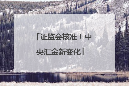 证监会核准！中央汇金新变化
