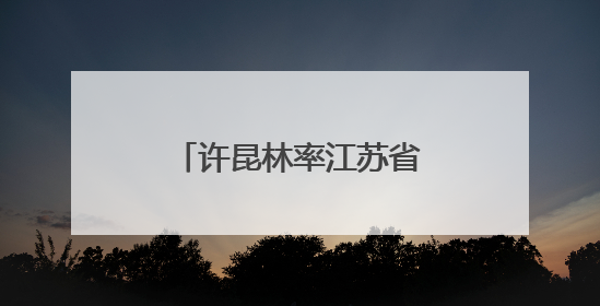 许昆林率江苏省政府代表团在柬埔寨考察访问