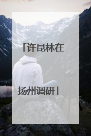 许昆林在扬州调研