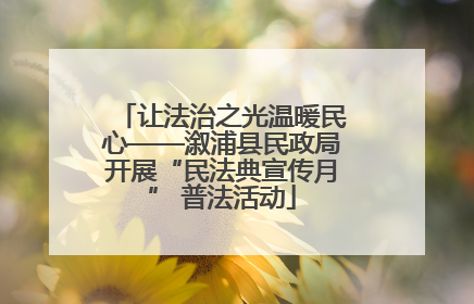 让法治之光温暖民心——溆浦县民政局开展“民法典宣传月” 普法活动