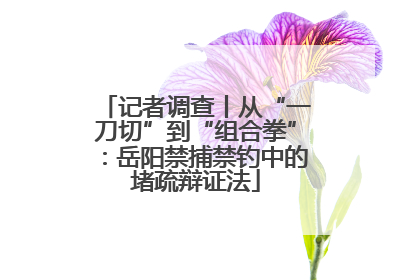 记者调查丨从“一刀切”到“组合拳”：岳阳禁捕禁钓中的堵疏辩证法