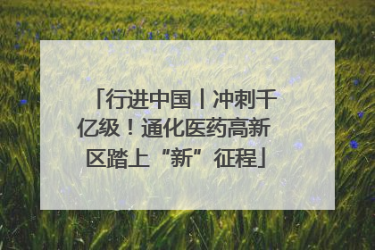 行进中国丨冲刺千亿级！通化医药高新区踏上“新”征程