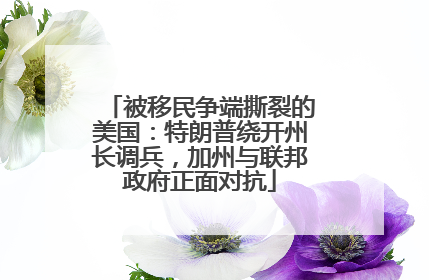 被移民争端撕裂的美国：特朗普绕开州长调兵，加州与联邦政府正面对抗
