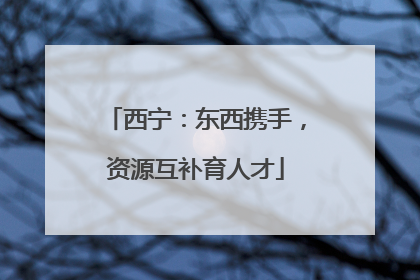西宁：东西携手，资源互补育人才