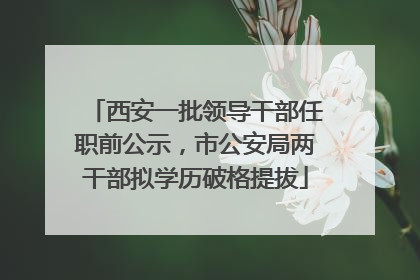 西安一批领导干部任职前公示，市公安局两干部拟学历破格提拔