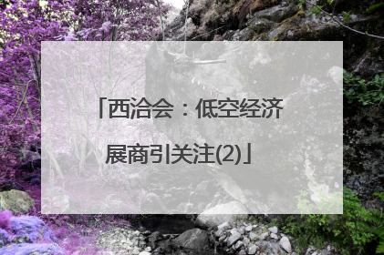 西洽会：低空经济展商引关注(2)