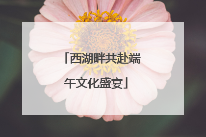 西湖畔共赴端午文化盛宴