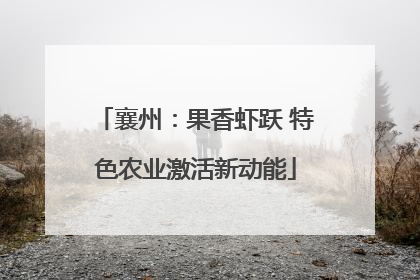 襄州：果香虾跃 特色农业激活新动能