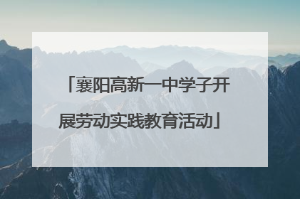 襄阳高新一中学子开展劳动实践教育活动