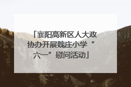 襄阳高新区人大政协办开展魏庄小学“六一”慰问活动