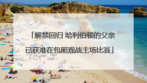 解禁回归 哈利伯顿的父亲已获准在包厢观战主场比赛