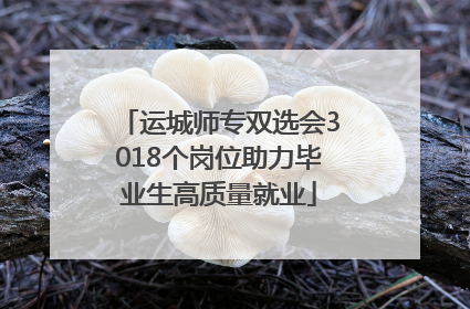 运城师专双选会3018个岗位助力毕业生高质量就业