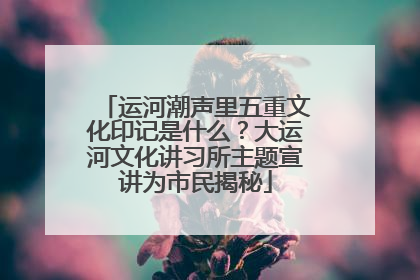 运河潮声里五重文化印记是什么？大运河文化讲习所主题宣讲为市民揭秘