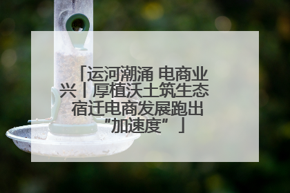 运河潮涌 电商业兴丨厚植沃土筑生态 宿迁电商发展跑出“加速度”