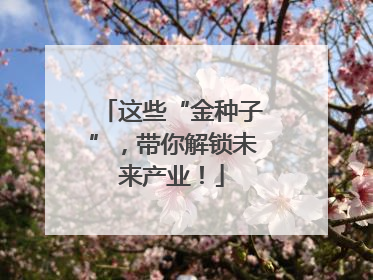 这些“金种子”，带你解锁未来产业！