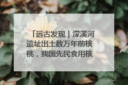 远古发现｜濛溪河遗址出土数万年前核桃，我国先民食用核桃历史大幅提前