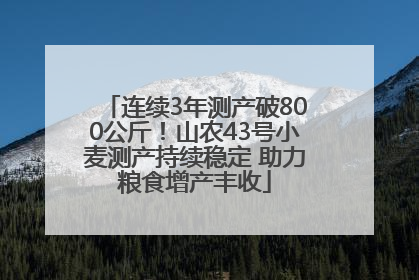 连续3年测产破800公斤！山农43号小麦测产持续稳定 助力粮食增产丰收