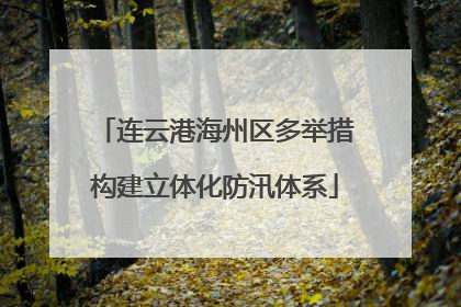 连云港海州区多举措构建立体化防汛体系