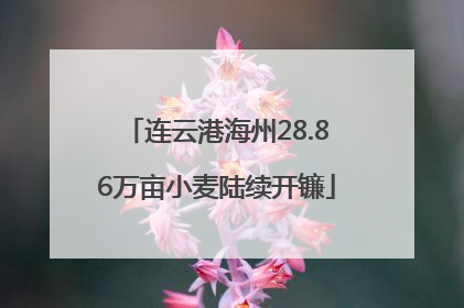 连云港海州28.86万亩小麦陆续开镰