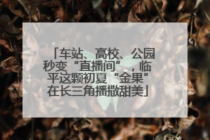 车站、高校、公园秒变“直播间”，临平这颗初夏“金果”在长三角播撒甜美