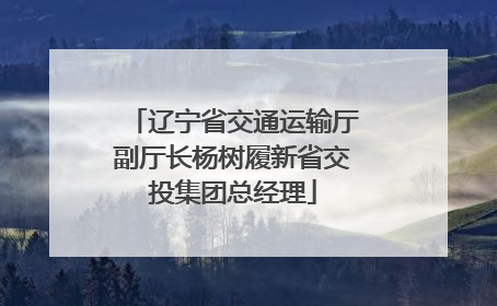 辽宁省交通运输厅副厅长杨树履新省交投集团总经理