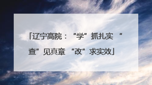 辽宁高院：“学”抓扎实 “查”见真章 “改”求实效
