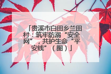 贵溪市白田乡兰田村：筑牢防溺“安全网”，共护生命“平安线”（图）
