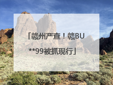 赣州严查！赣BU**99被抓现行