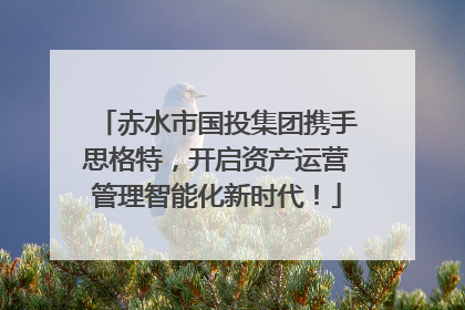 赤水市国投集团携手思格特，开启资产运营管理智能化新时代！