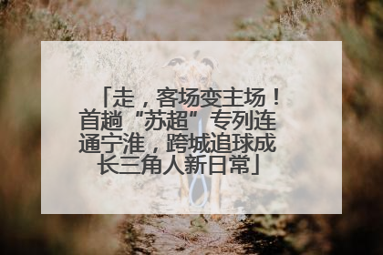 走，客场变主场！首趟“苏超”专列连通宁淮，跨城追球成长三角人新日常