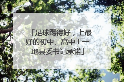 足球踢得好，上最好的初中、高中！一地县委书记承诺