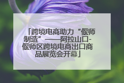 跨境电商助力“偃师制造”——阿拉山口-偃师区跨境电商出口商品展览会开幕