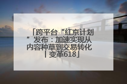 跨平台“红京计划”发布：加速实现从内容种草到交易转化丨变革618