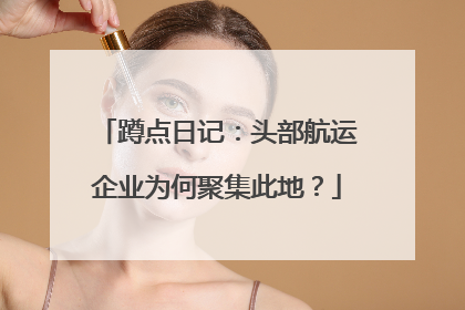 蹲点日记：头部航运企业为何聚集此地？