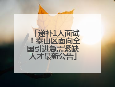 递补1人面试！泰山区面向全国引进急需紧缺人才最新公告