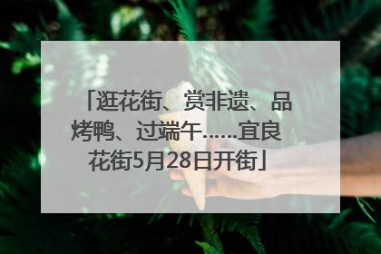 逛花街、赏非遗、品烤鸭、过端午……宜良花街5月28日开街