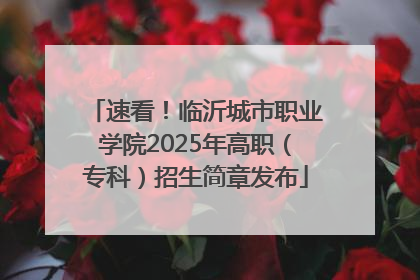 速看！临沂城市职业学院2025年高职（专科）招生简章发布