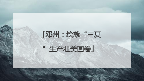 邓州：绘就“三夏”生产壮美画卷