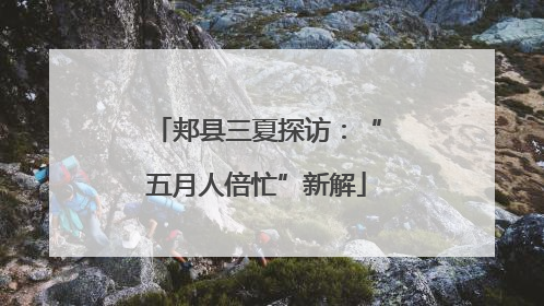 郏县三夏探访：“五月人倍忙”新解