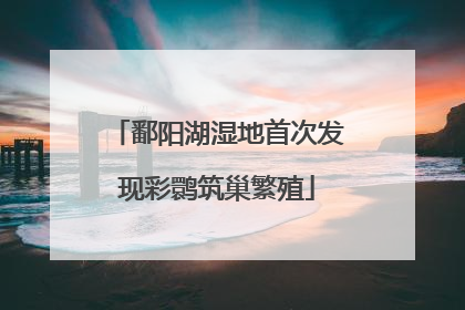 鄱阳湖湿地首次发现彩鹮筑巢繁殖