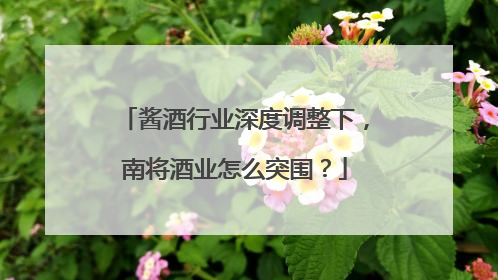 酱酒行业深度调整下，南将酒业怎么突围？