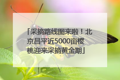 采摘路线图来啦！北京昌平近5000亩樱桃迎来采摘黄金期