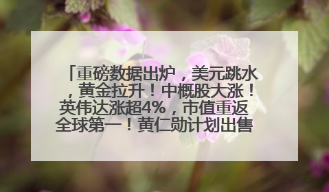 重磅数据出炉，美元跳水，黄金拉升！中概股大涨！英伟达涨超4%，市值重返全球第一！黄仁勋计划出售至多600万股股票