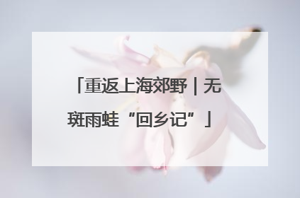 重返上海郊野｜无斑雨蛙“回乡记”