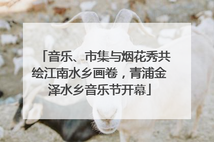 音乐、市集与烟花秀共绘江南水乡画卷，青浦金泽水乡音乐节开幕
