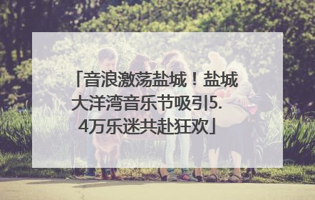 音浪激荡盐城！盐城大洋湾音乐节吸引5.4万乐迷共赴狂欢