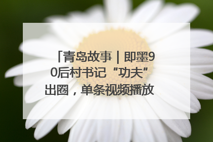 青岛故事｜即墨90后村书记“功夫”出圈，单条视频播放量过600万