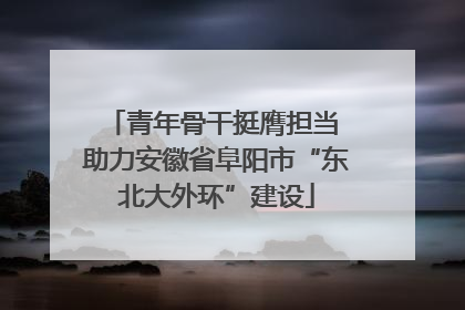 青年骨干挺膺担当 助力安徽省阜阳市“东北大外环”建设