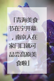青海美食节在宁开幕，南京人在家门口就可品尝高原美食啦